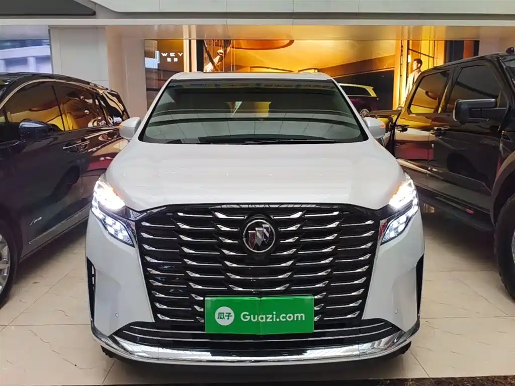 Buick GL8 2022 ES Landmark 653T Premium фото 3