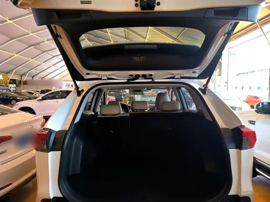 Toyota RAV4 Rongfang 2020 2.0L CVT 2WD Trend Edition фото 19