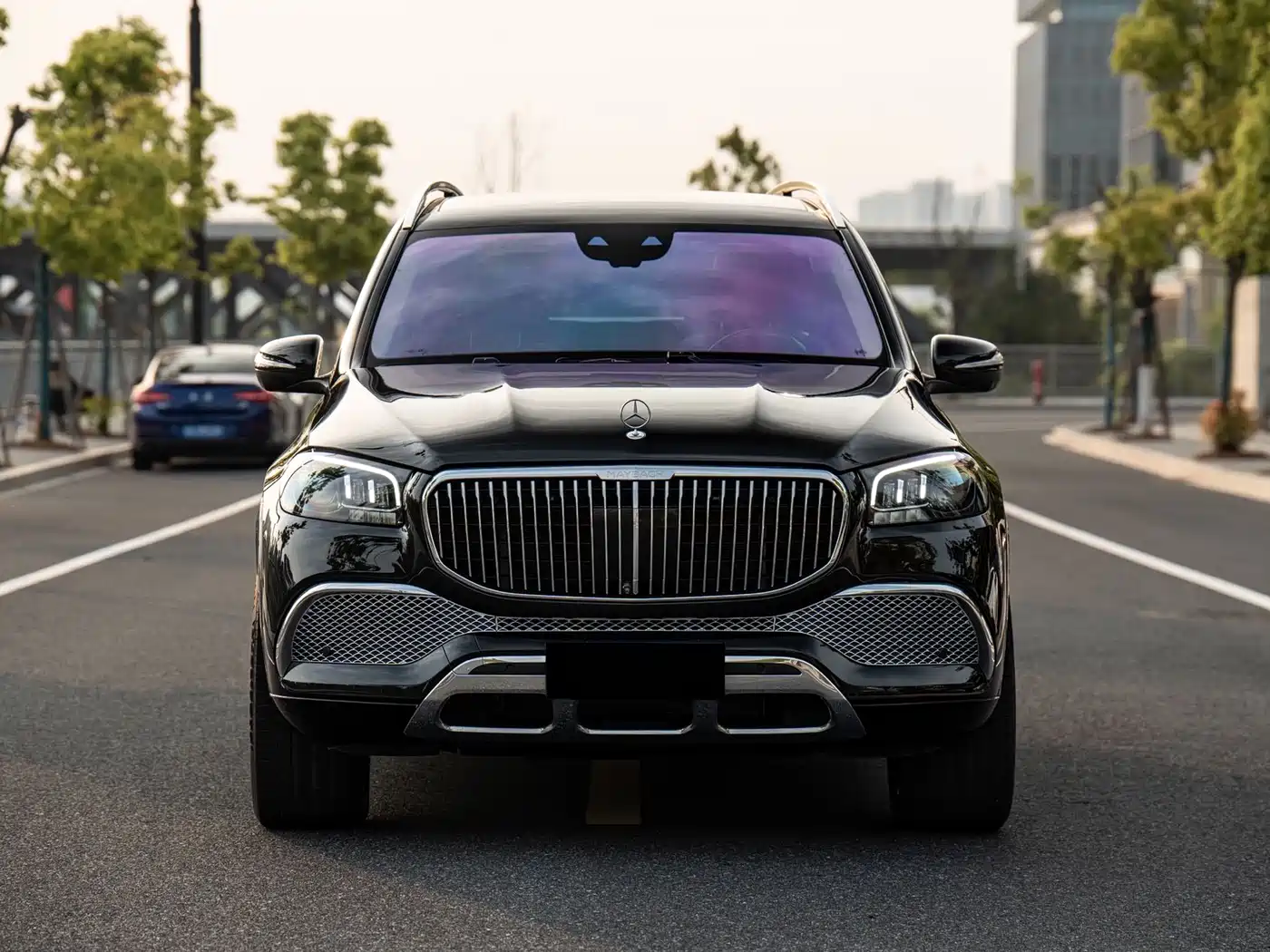 Mercedes-Benz Maybach GLS 2022 GLS 480 4MATIC фото 2