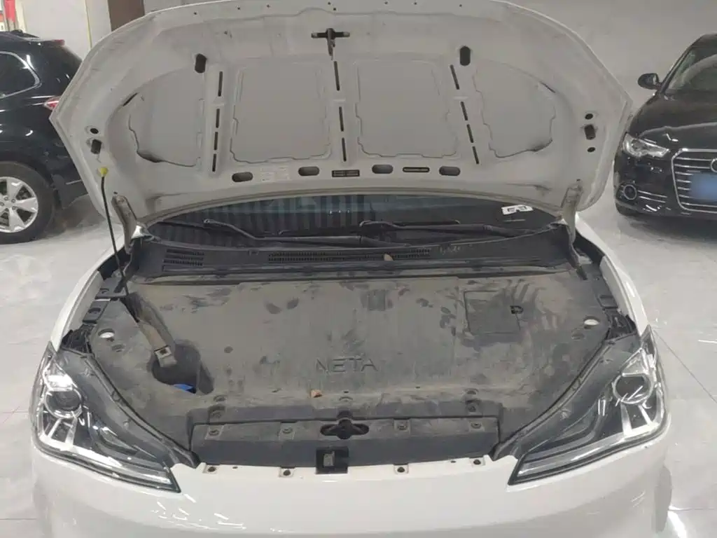 Nezha Auto Nezha V 2022 2022 Tide 300 Lite Ternary Lithium