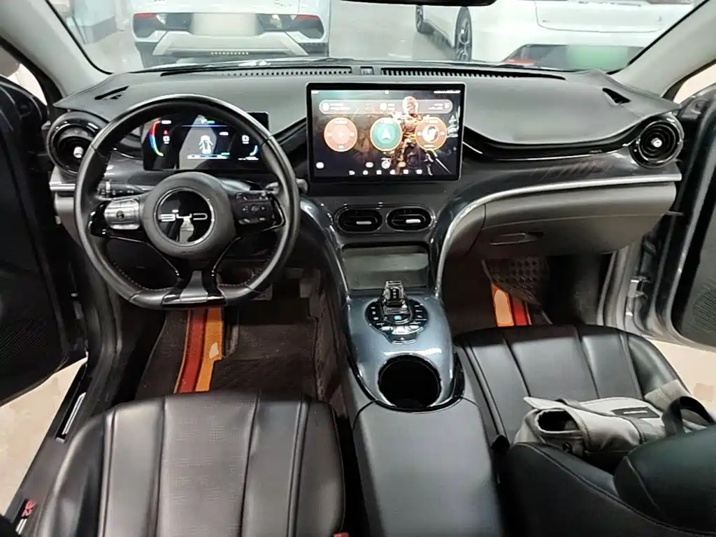 BYD e2 2024 2023 Luxury Model