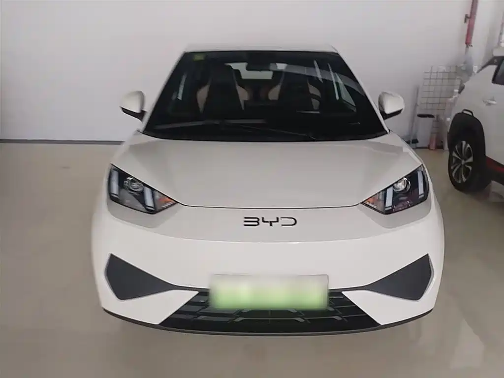 BYD Seagull 2025 Smart Drive Edition 305km Vitality Version фото 3