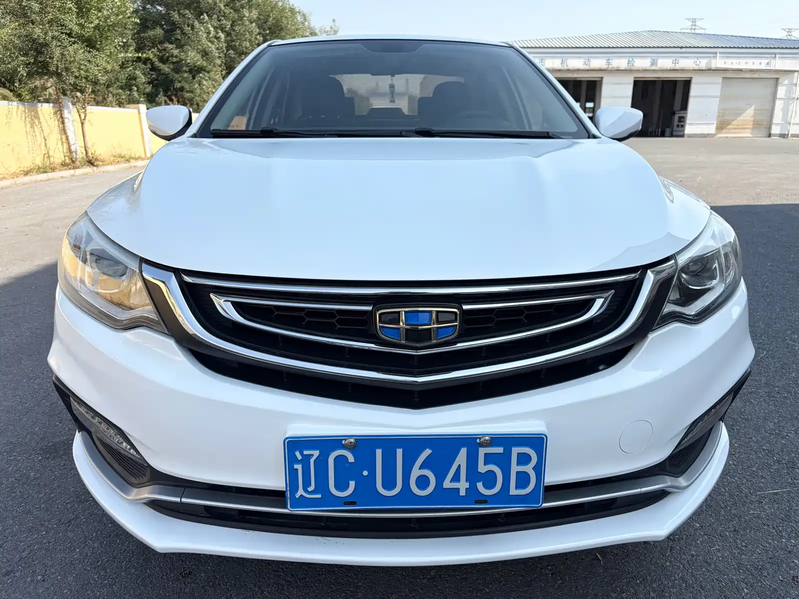 Фото 2 - Geely Vision