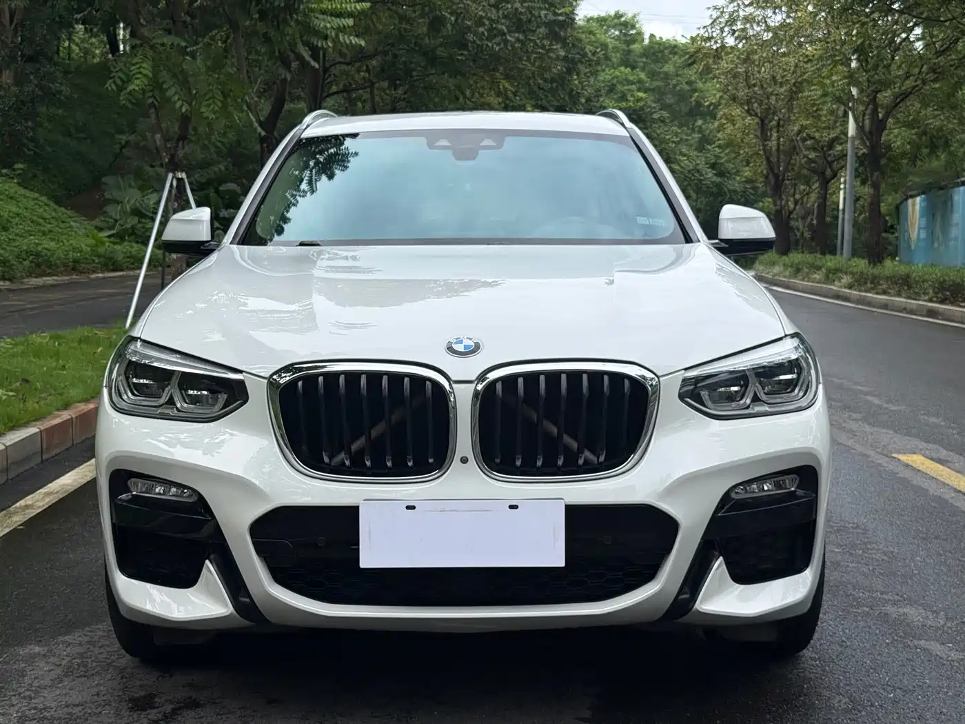 BMW X3 2018 2018 xDrive30i Leading M Sport Package China V