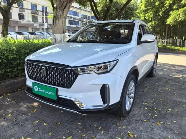  Besturn Besturn T33 2019 1.6L Automatic Luxury China VI