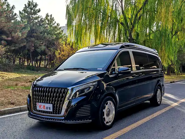 Mercedes-Benz V-Class 2018 V 260 L Premium Long Wheelbase Edition China VI