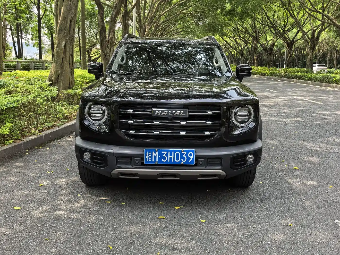 Haval Big Dog 2021 1.5T DCT 2WD Border Collie - Wangcai Edition фото 9