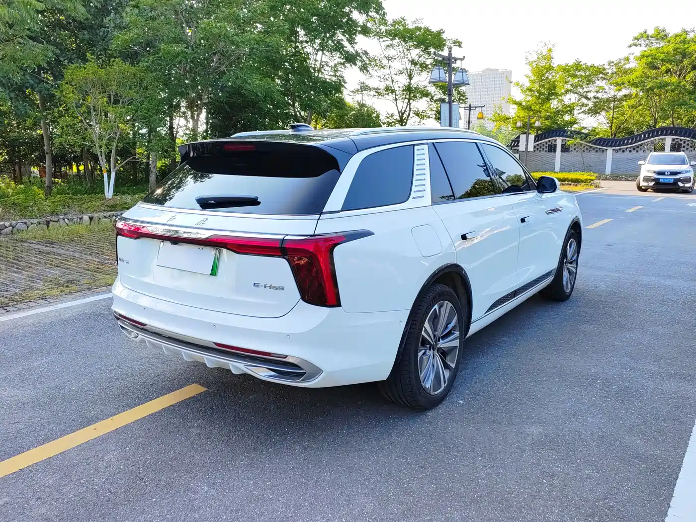 Hongqi E-HS9 2021 460km Flagship Comfort 6-seater фото 8