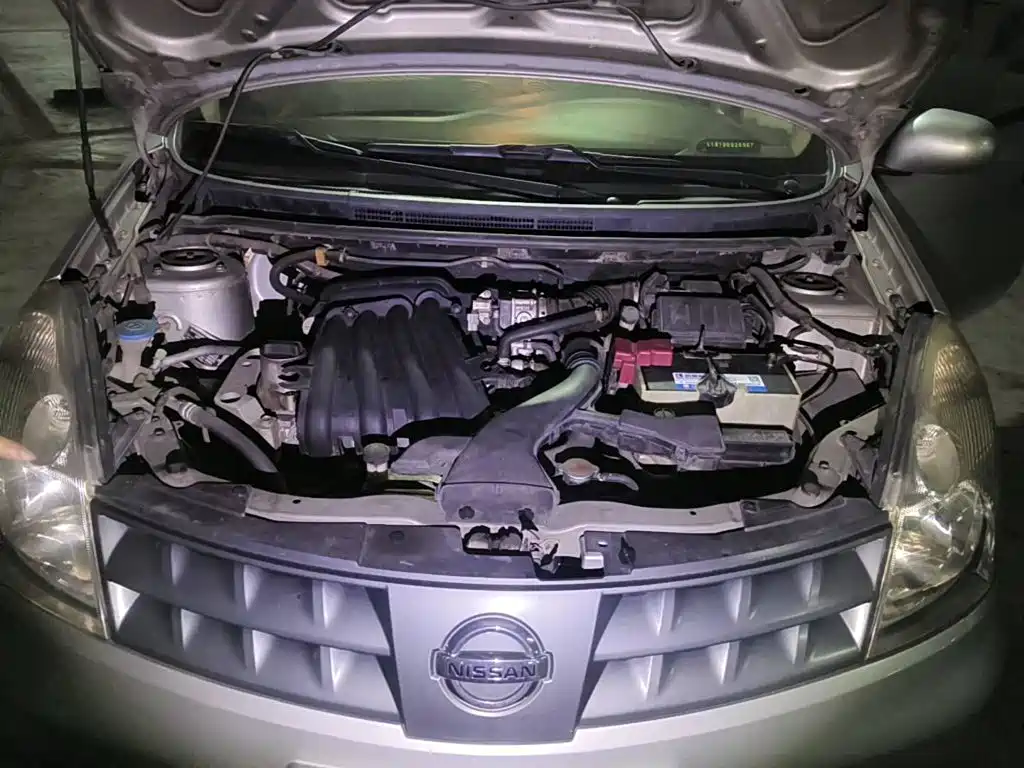 صورة 3 - Nissan Livina