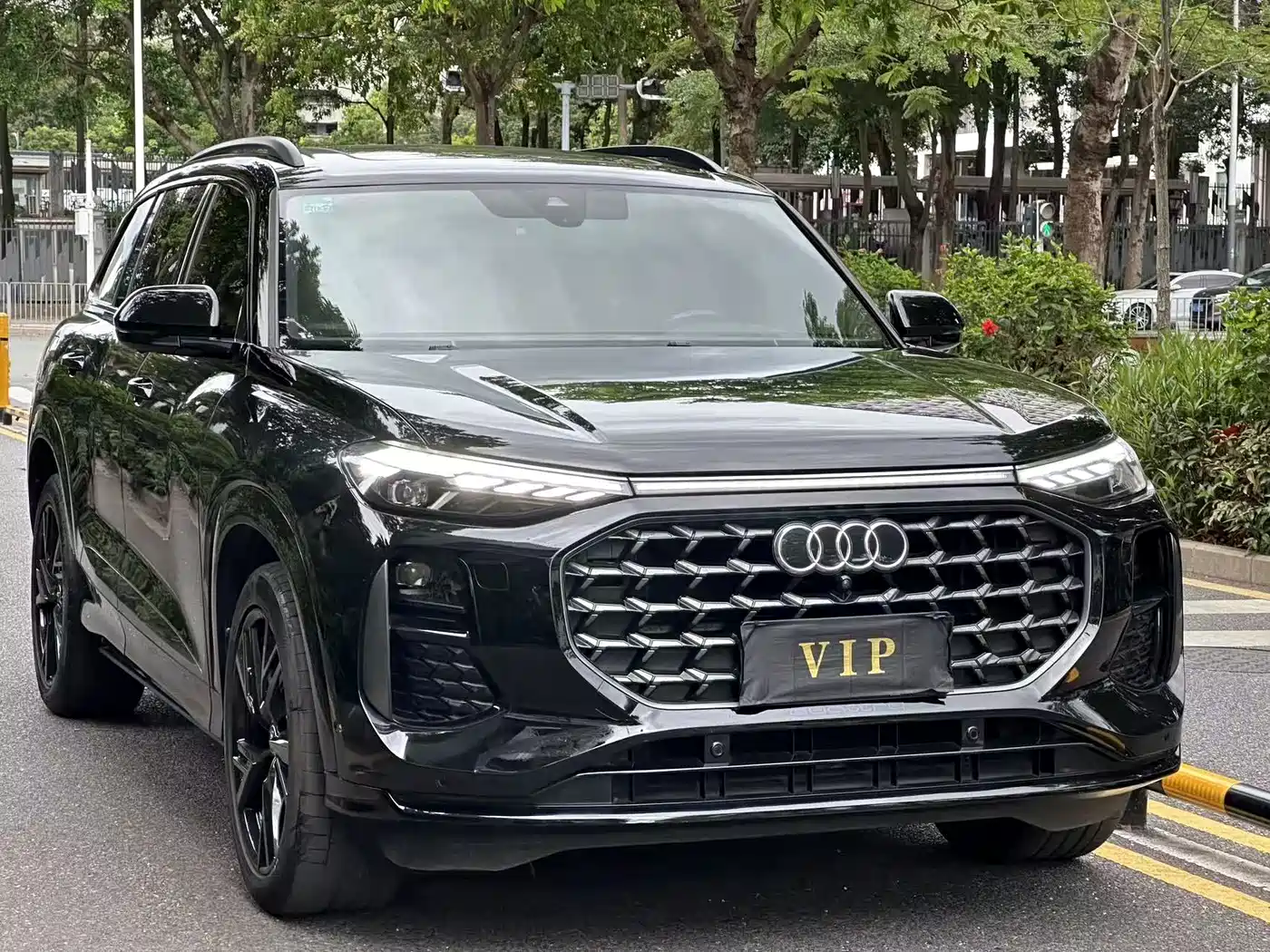 Audi Q6 2024 45 TFSI quattro Black Warrior Edition 6-seater фото 3