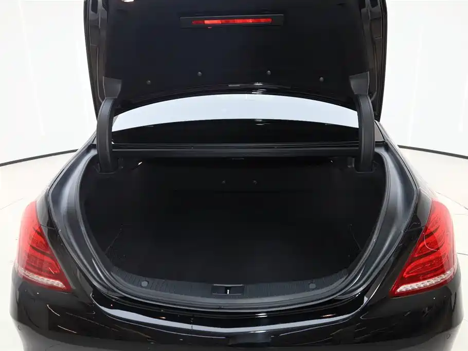 Mercedes-Benz S-Class 2017 S 320 L Luxury фото 10