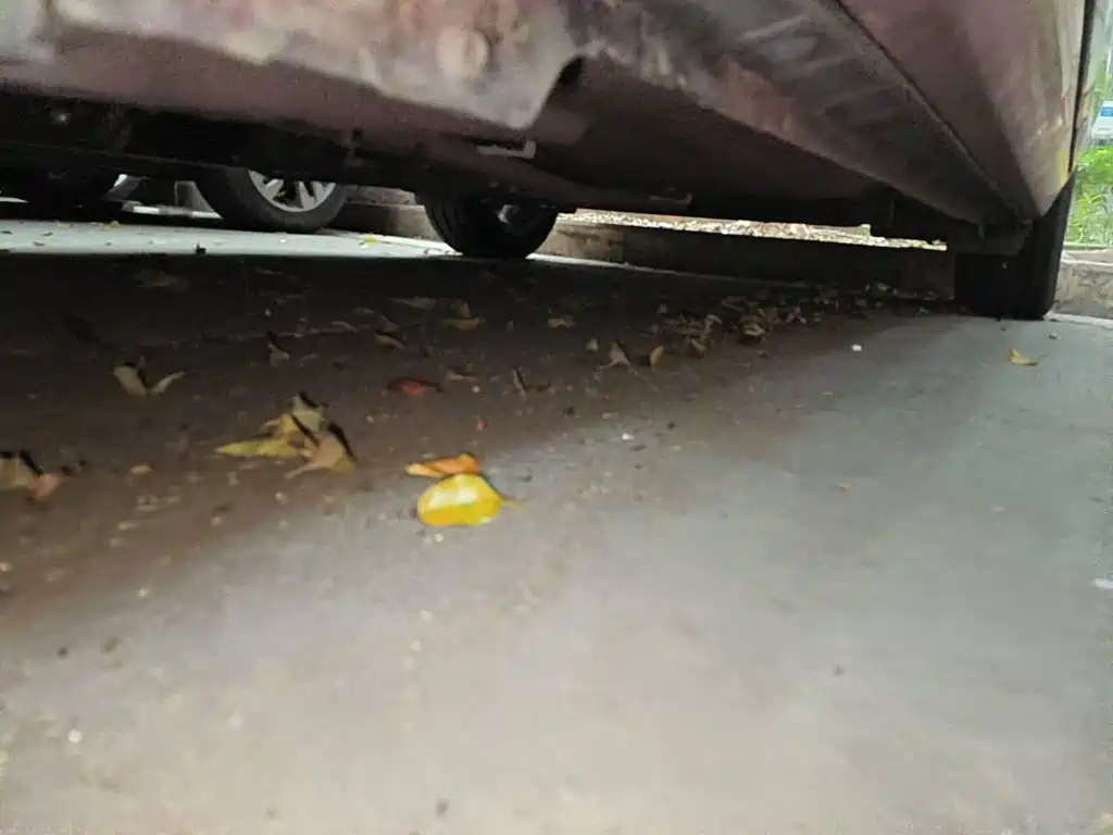 Photo 8 - Toyota Levin