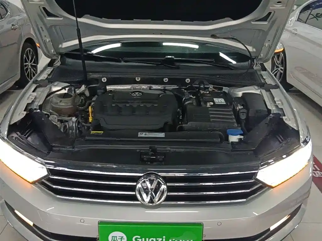 Volkswagen Magotan 2019 330TSI DSG Leading China V фото 20
