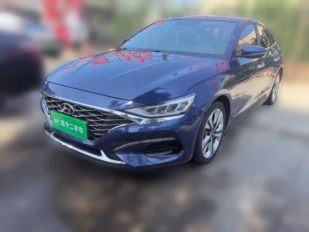 Photo 1 - Hyundai Lafesta