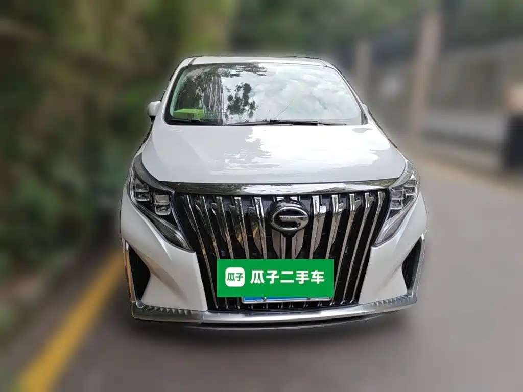 GAC Trumpchi Trumpchi M8 2021 Master Series 390T Ultimate Edition фото 7