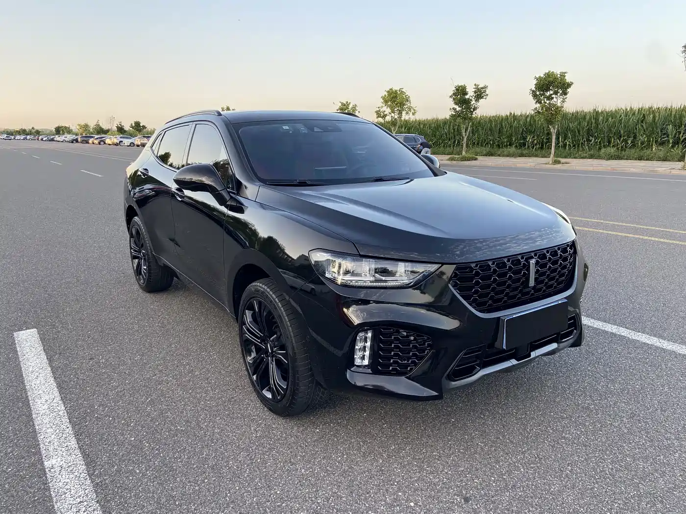 WEY VV5 2017 2017 2.0T Flagship Model