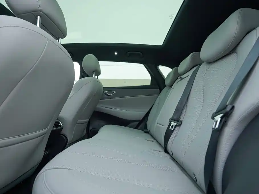 BYD Sealion 06 New Energy 2026