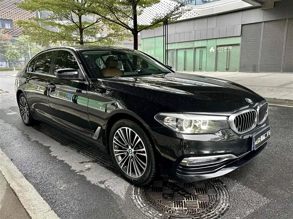 BMW 5 Series 2018 528Li Launch Special Edition фото 3