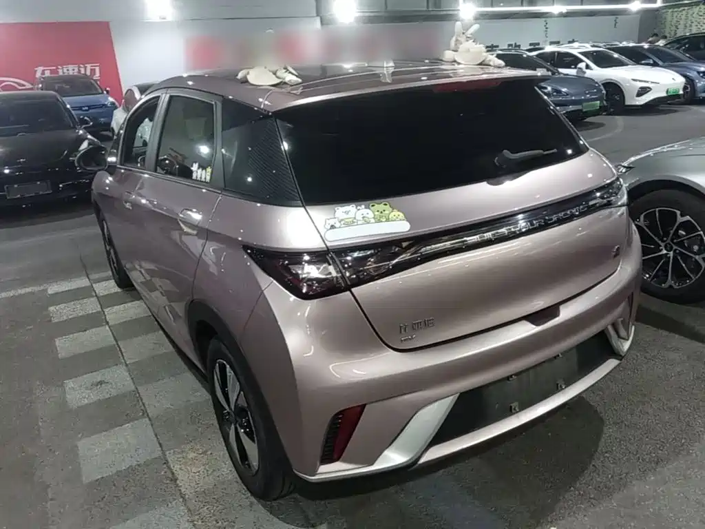 Фото 23 - BYD Dolphin