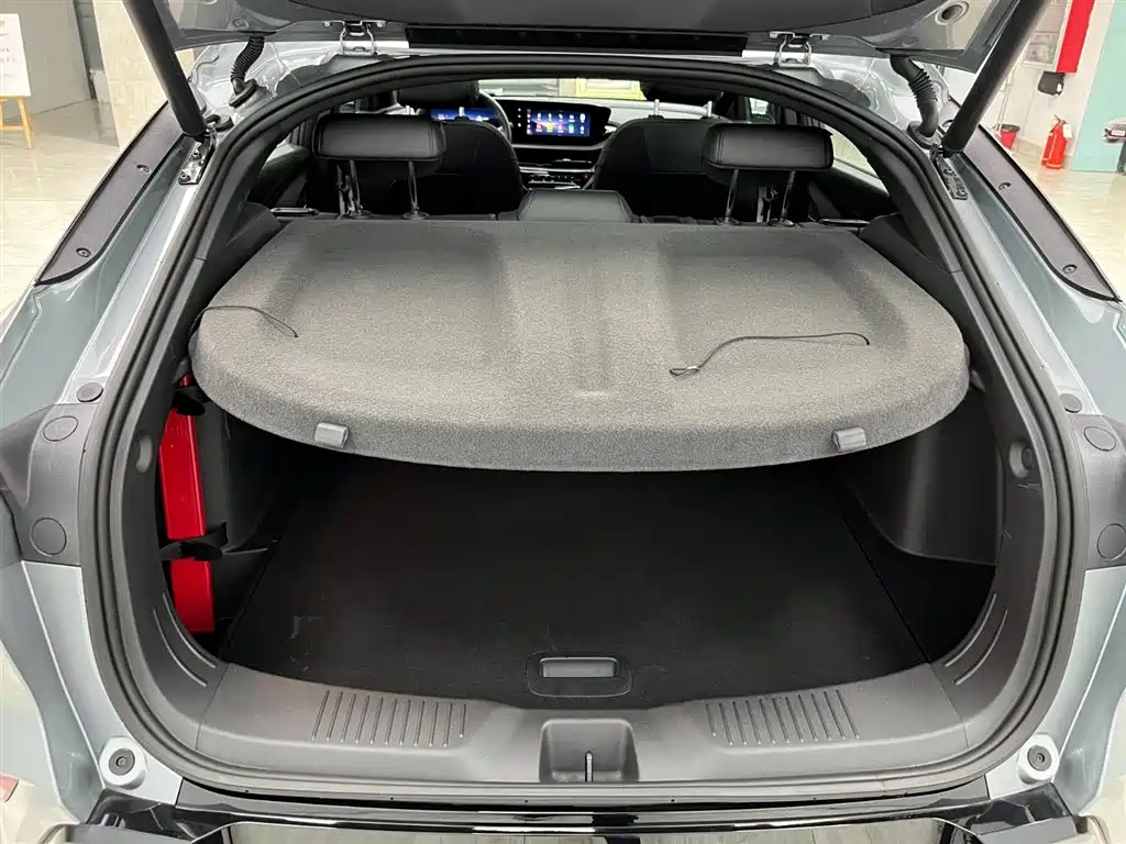 Buick Angyang 2022 1.5T GS Speed Edition фото 16