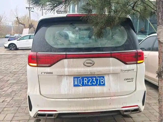 GAC Trumpchi Trumpchi M8 2020 Pilot 390T Luxury Edition фото 4