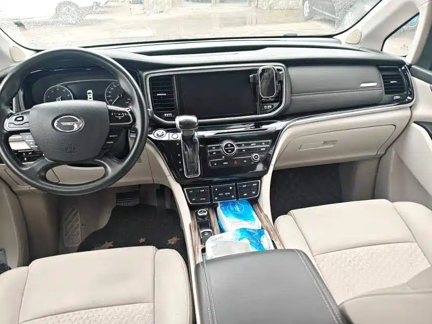 GAC Trumpchi Trumpchi M8 2020 Pilot 390T Luxury Edition фото 7