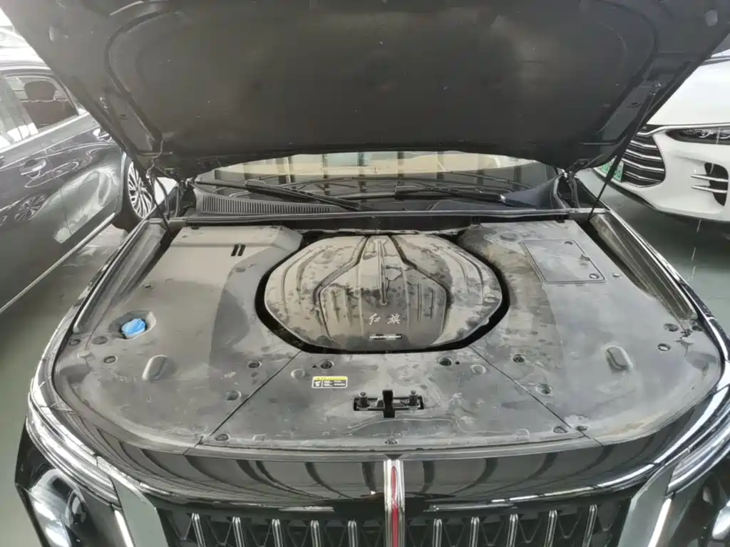 Photo 20 - Hongqi H9
