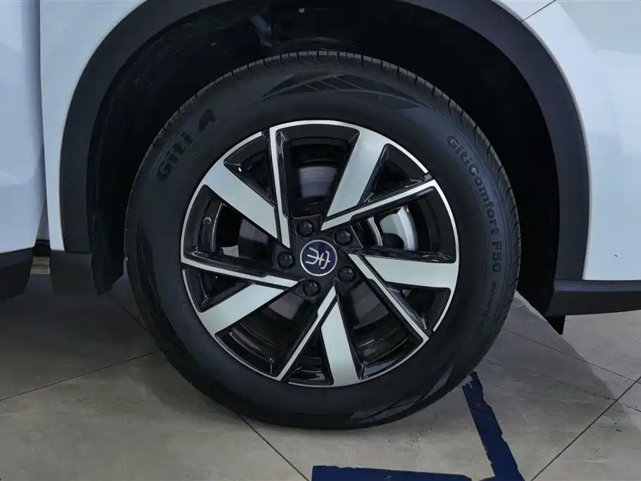 BYD Song Pro New Energy 2024 Glory Edition DM-i 110KM Surpassing фото 6