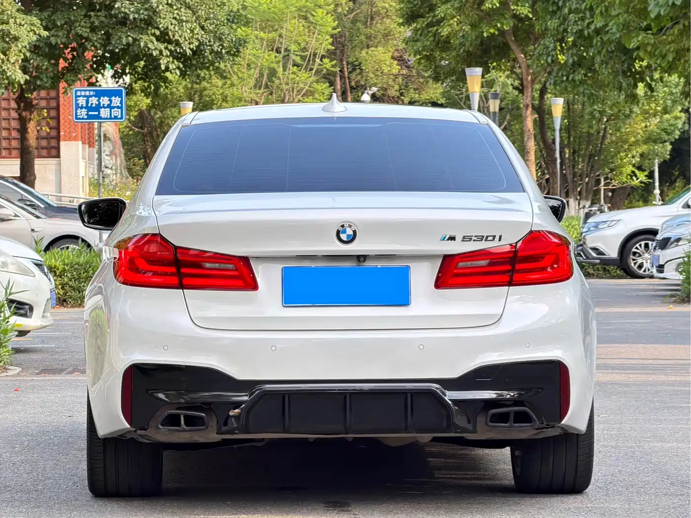 BMW 5 Series 2020 530Li Leading M Sport Package фото 3