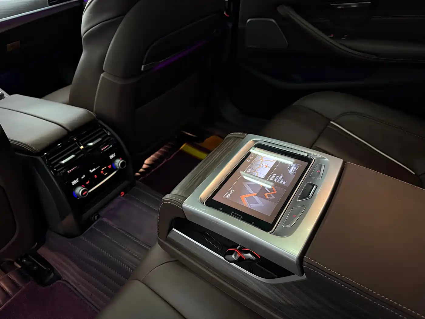 BMW 5 Series 2020 530Li Premium Luxury Package фото 17