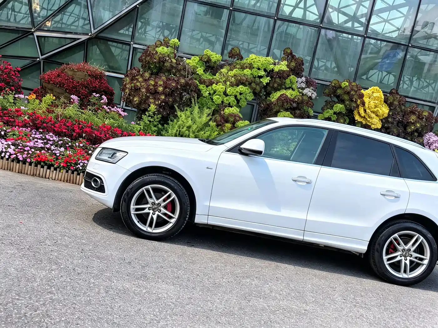 Audi Q5 2018 2018 Collector's Edition 40 TFSI Technology