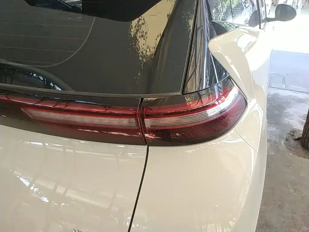 BYD Seagull 2026 2025 Smart Drive Edition 305km Vitality Version