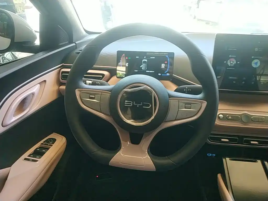 BYD Seagull 2026 2025 Smart Drive Edition 305km Vitality Version