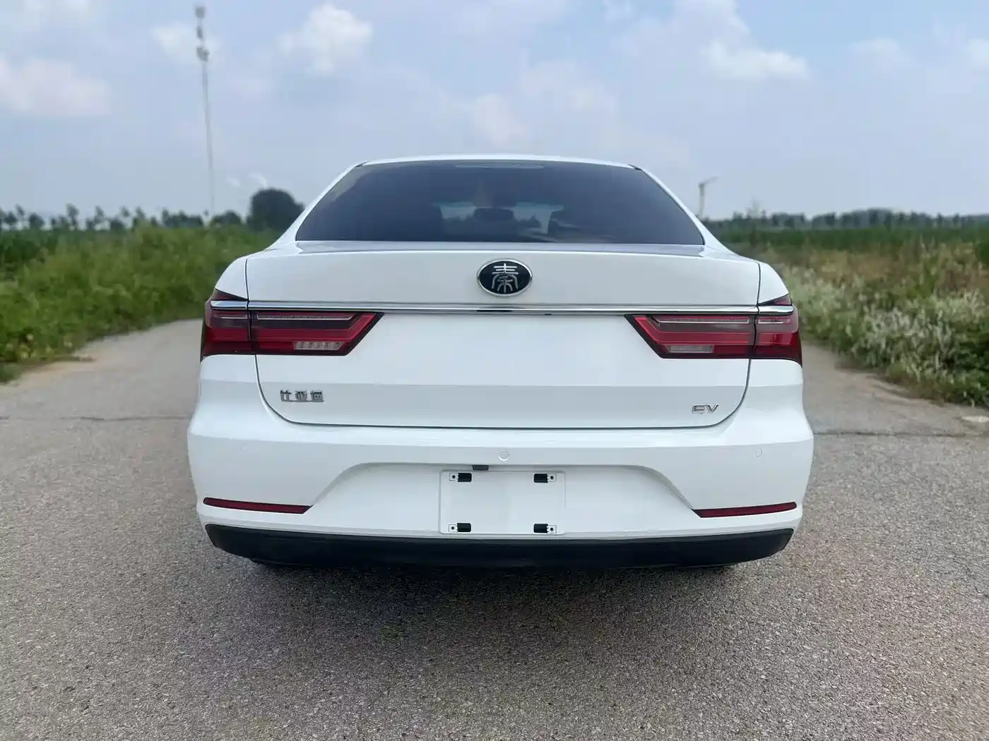 BYD Qin New Energy 2020 2019 Long Range Luxury Edition