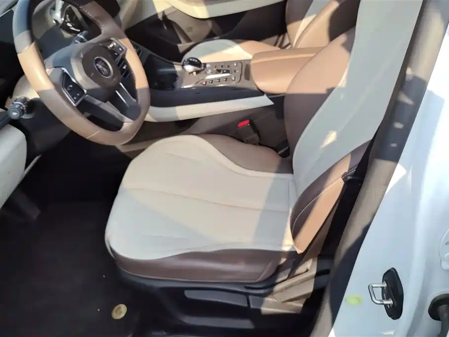 BYD Qin PLUS 2024 Glory Edition DM-i 55KM Leading фото 9