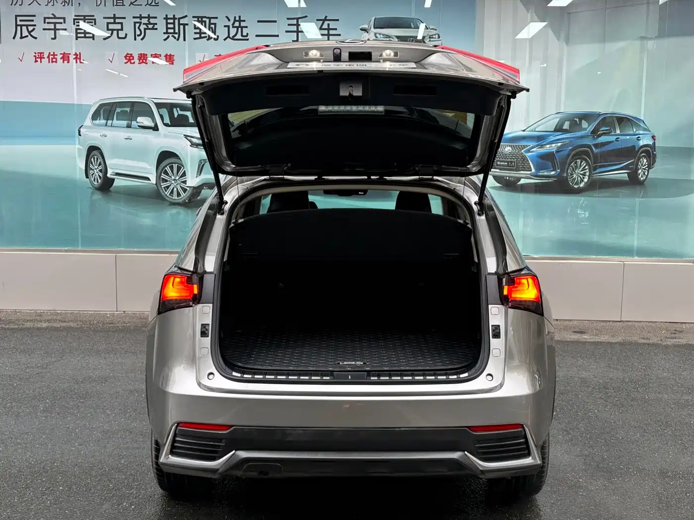 Lexus NX 2018 Model 300 FWD Fengxing Edition фото 6