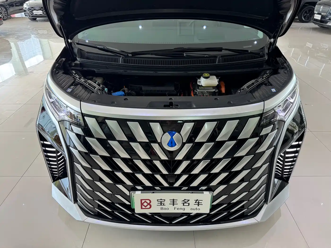 Denza D9 2024 DM-i 980 AWD Flagship фото 21