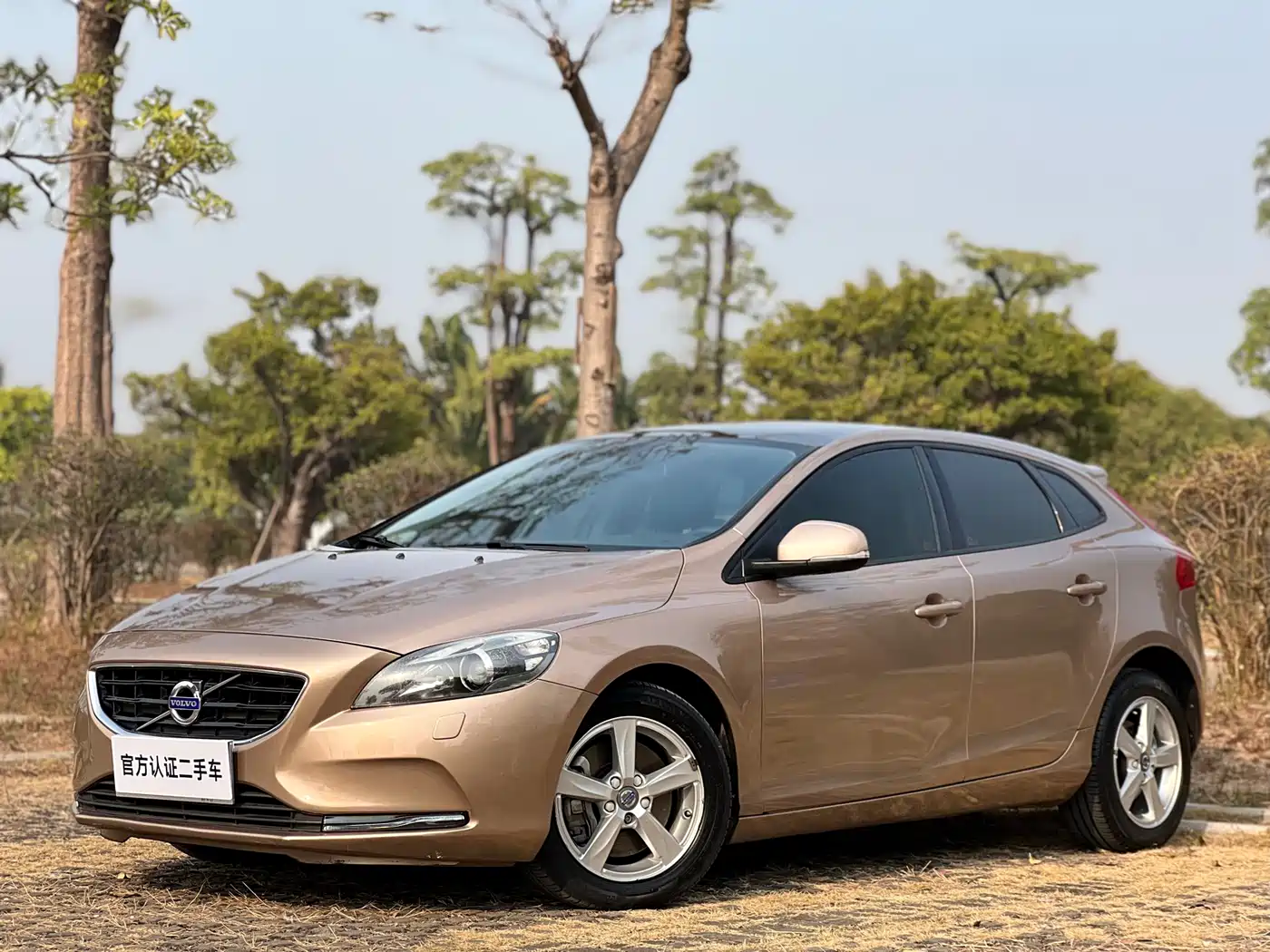 Фото 1 - Volvo V40