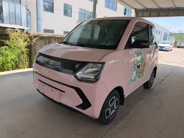 Dongfeng Fengguang Fengguang MINIEV 2022 Model Practical Edition Comfort