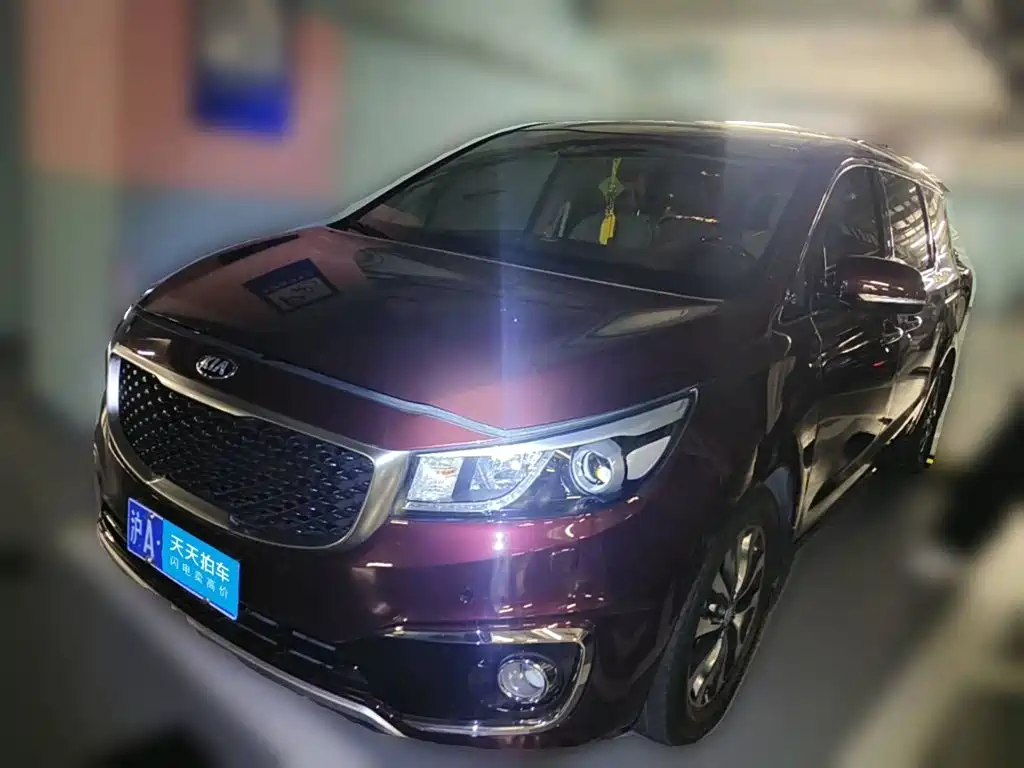 2016 Kia Carnival (Import)