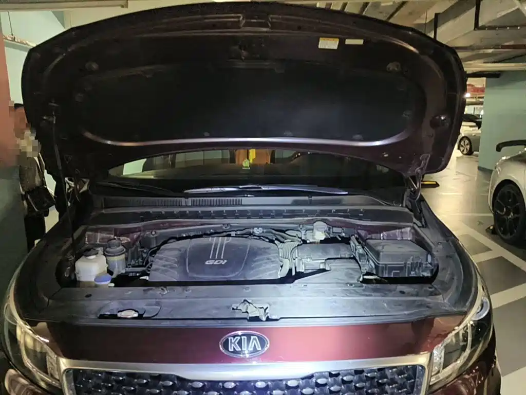 2016 Kia Carnival (Import)