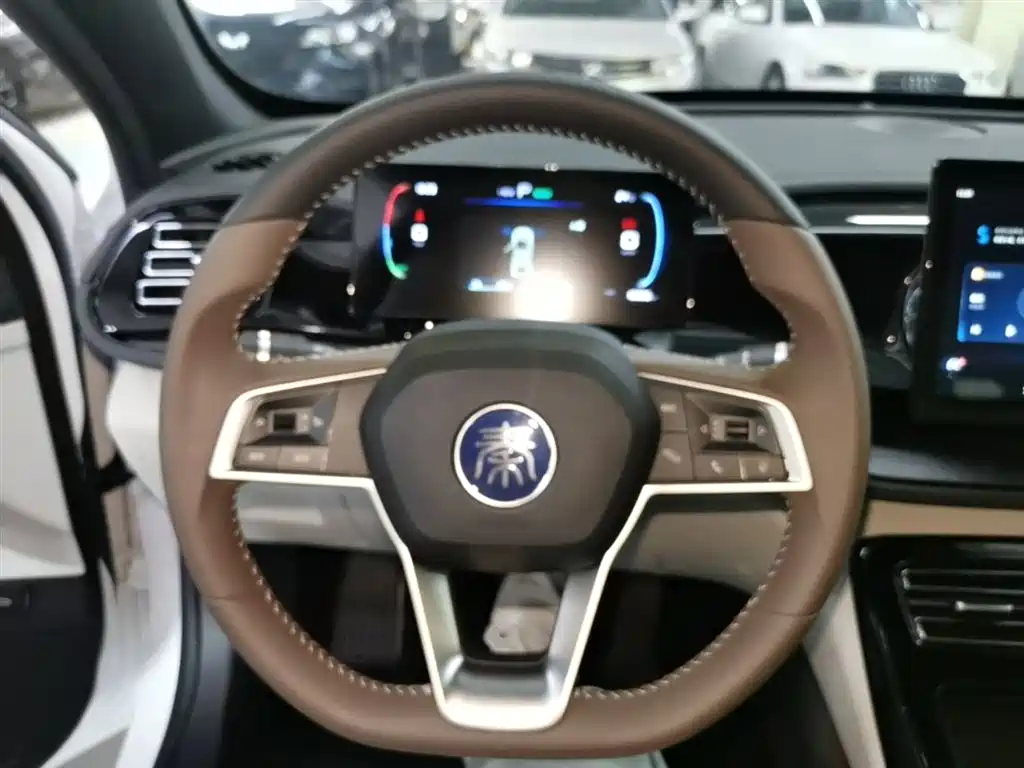BYD Qin PLUS 2024 Glory Edition DM-i 55KM Leading фото 11