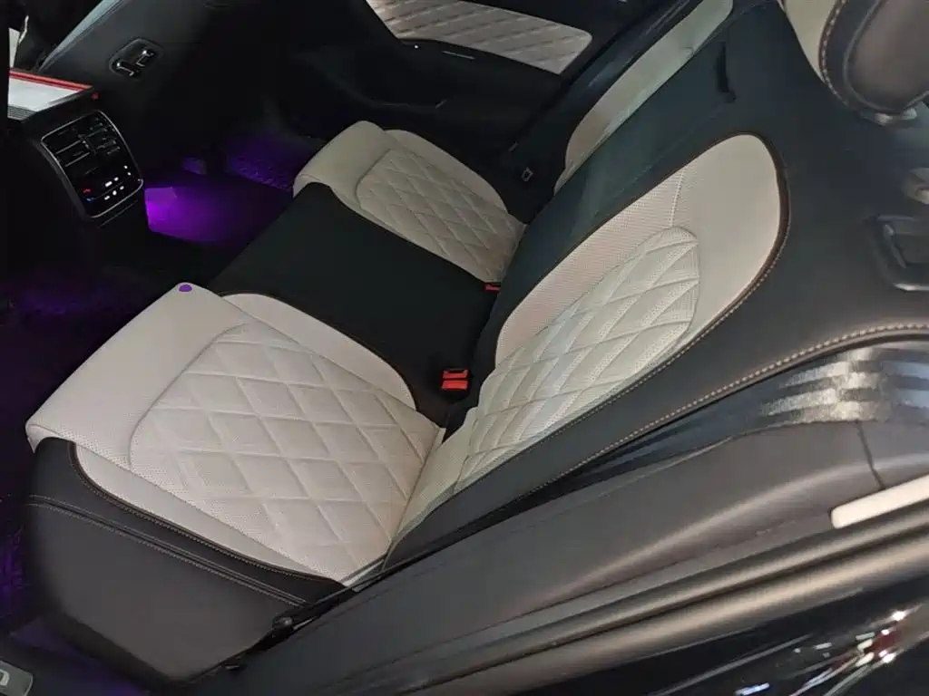 Volkswagen Magotan 2024 2024 2 Million Units Public Sharing Edition 330TSI DSG Luxury