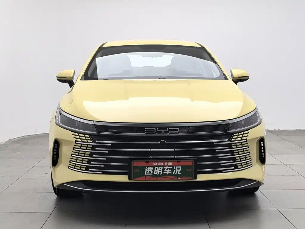 Фото 3 - BYD Destroyer 05