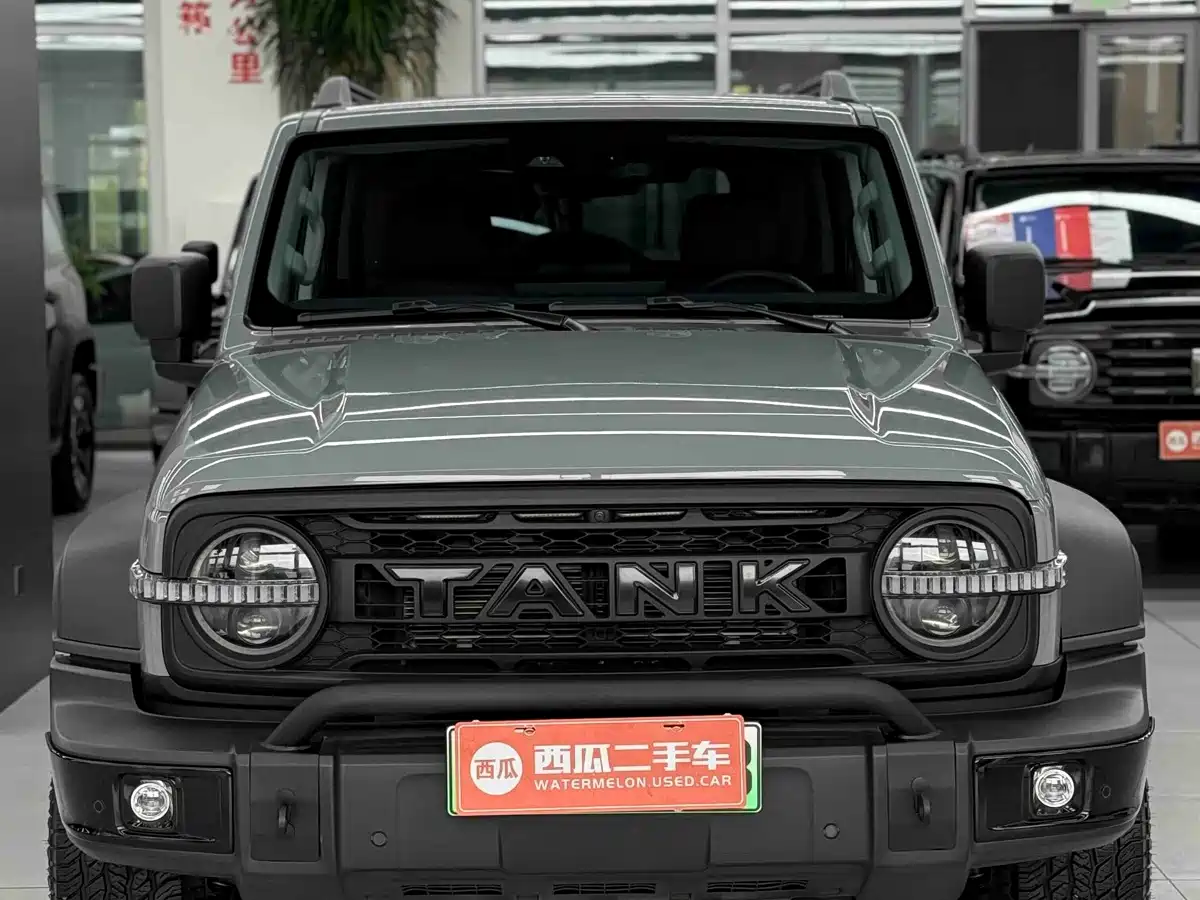 2025 Tank 300 New Energy