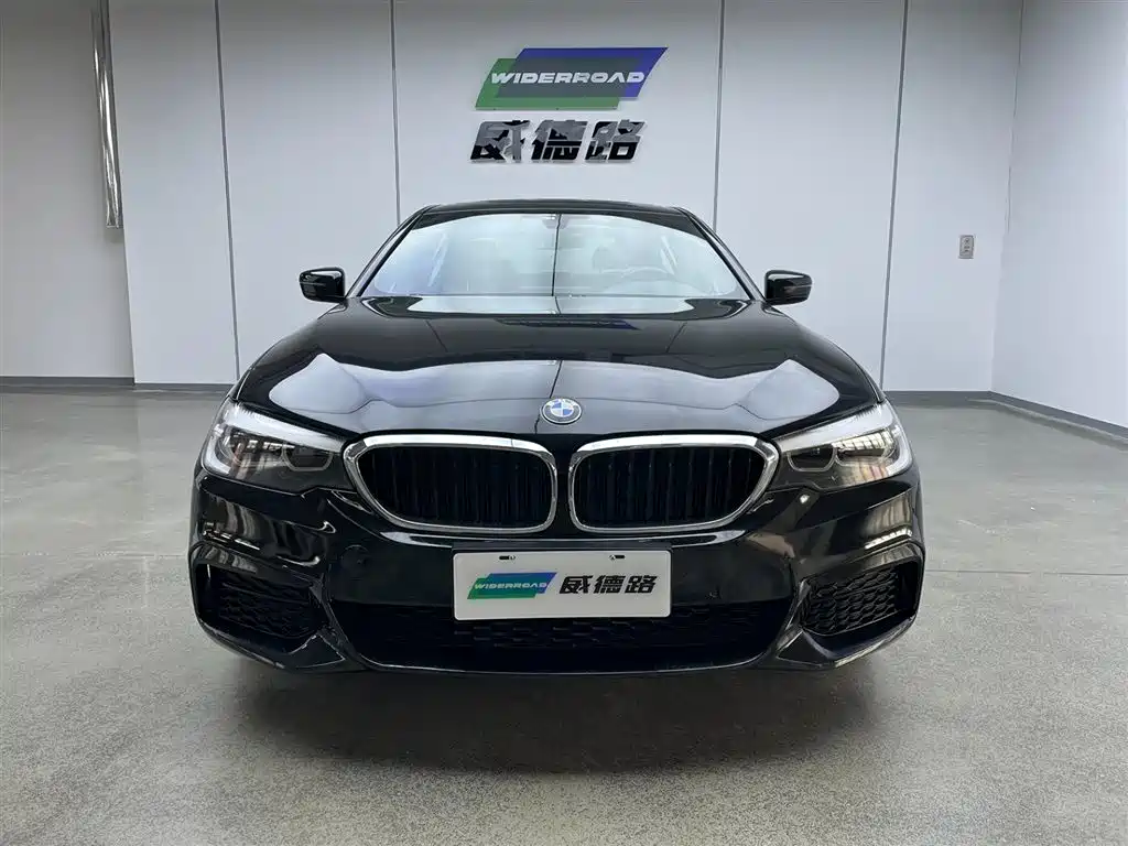 BMW 5 Series 2019 Facelift 525Li M Sport Package фото 2