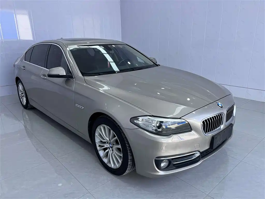BMW 5 Series 2014 525Li Luxury Design Package фото 6