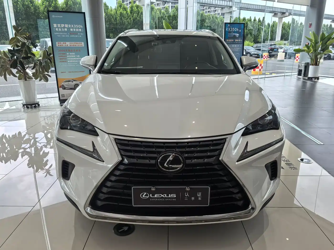 Фото 2 - Lexus NX