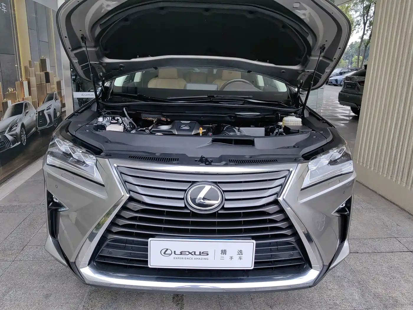 Lexus RX 2016 300 4WD Elegance Edition (China V) фото 6
