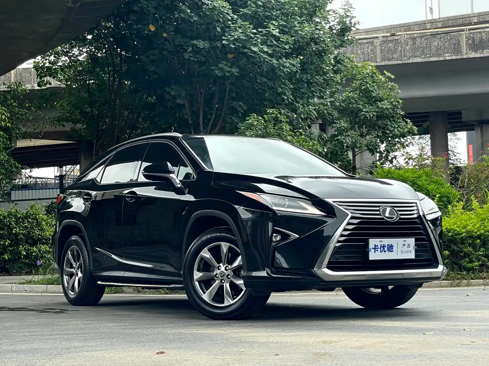 Фото 6 - Lexus RX
